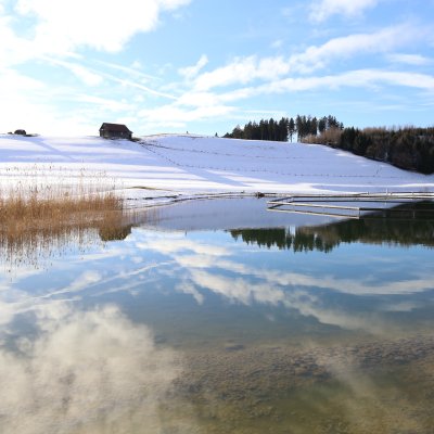 Die Langlaufloipe führt direkt an Haubers Natursee am Langlauf-Hotel vorbei.