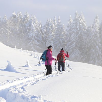Knietief stehen Gäste des Hotels bei ihrer Winterwanderung im Schnee.