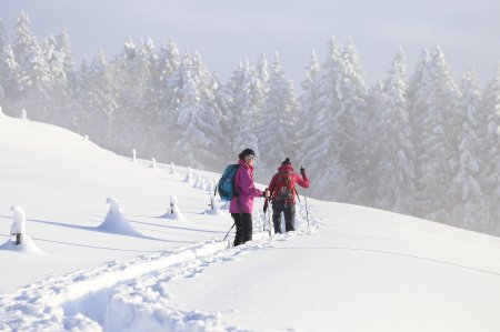 Knietief stehen Gäste des Hotels bei ihrer Winterwanderung im Schnee.