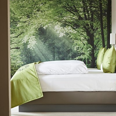 Im familiengeführten Hotel im Allgäu vereinen sich Komfort und Natur zum Beispiel in der Ausstattung des Themenzimmers Bergwald.