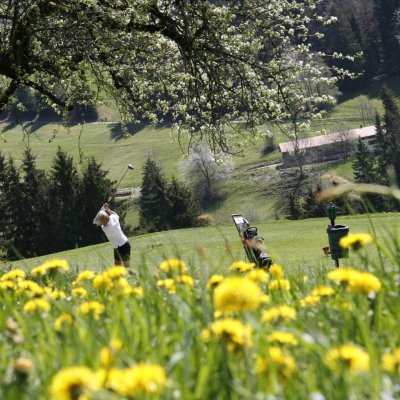 Gäste schlagen auf dem Golfplatz Oberstaufen ab, der direkt an das Areal des Golfhotels Haubers grenzt.