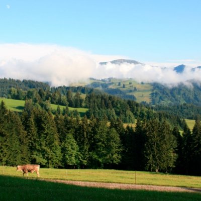 Landschaft bei Fastenwanderung im Allgäu