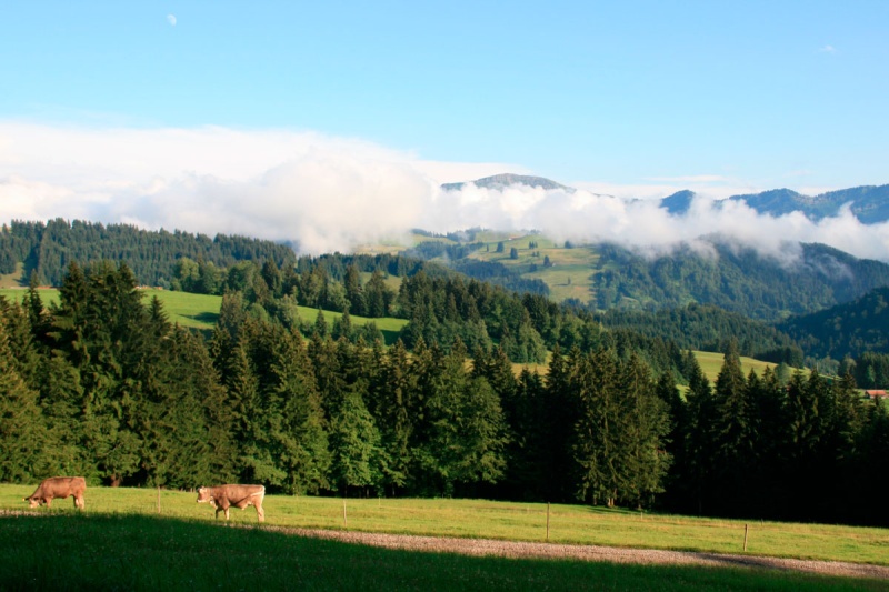 Landschaft bei Fastenwanderung im Allgäu