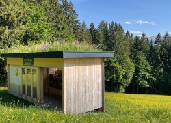 Haubers Bienen Einzug 2022