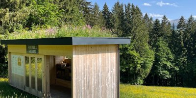 Haubers Bienen Einzug 2022 Haubers Bienen Einzug 2022