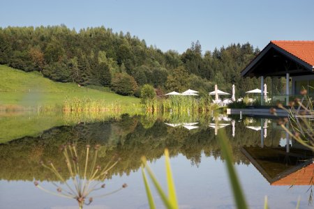 Natursee Sommer 2020-7