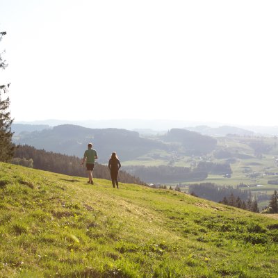 Frühling (1 von 1)-21