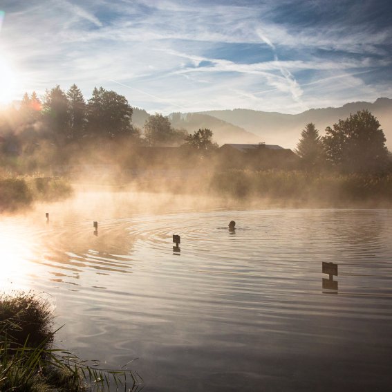 Nebelschleier lichtet sich am Natursee
