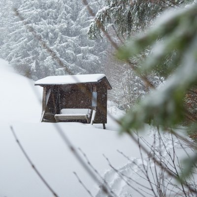 Die Schaukelbank am Haubers Klimapfad liegt im Winter schneebedeckt am Hang der Meerau.