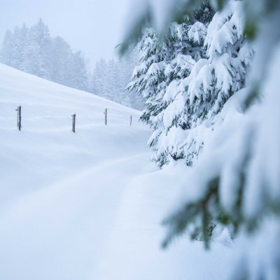 Unberührter Wanderweg am Klimapfad