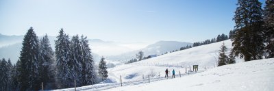 Ausblick vom Schwalbennest zur Mittagszeit