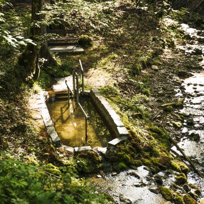 Kneippbecken am Klimapfad