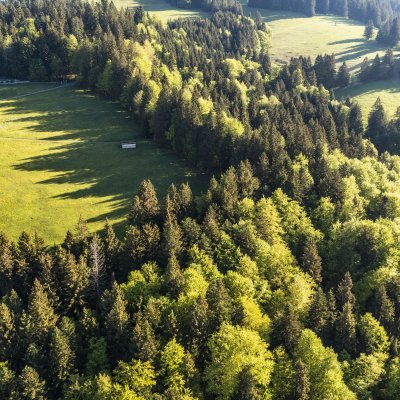 Auf 950 Metern Höhe liegt das Haubers Schwalbennest, zu dem der hoteleigene Klimapfad hinaufführt.