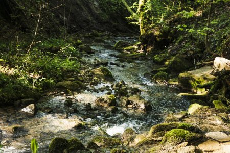 Am Jugetbach nahe Kalzhofen steigen Gäste des Waldbaden-Hotels vorbei, wenn sie auf dem Klimapfad von Haubers spazieren.