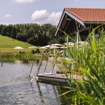 Eine Treppe führt auf den Natursee-Steg, von dem aus Gäste direkt in den Wellnessbereich des Allgäuer Hotels gelangen können.