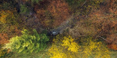Während des Indian Summers im Allgäu färben sich die Laubbäume rot und gelb.