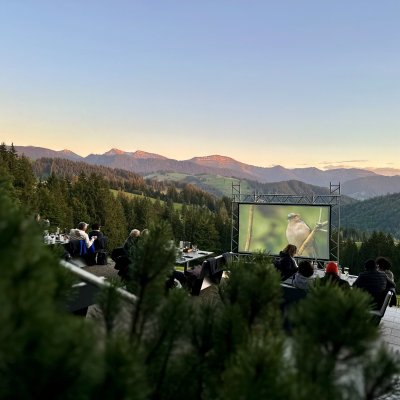 Naturkino am Schwalbennest