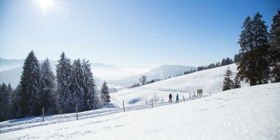 Zwei Gäste wandern im Winter von Haubers Schwalbennest zum Fastenhotel im Allgäu.