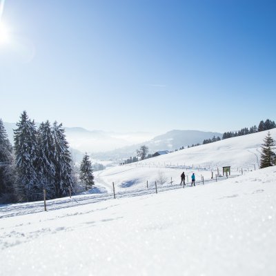 Zwei Gäste wandern im Winter von Haubers Schwalbennest zum Fastenhotel im Allgäu.