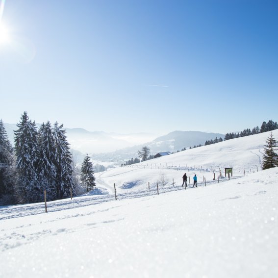 Zwei Gäste wandern im Winter von Haubers Schwalbennest zum Fastenhotel im Allgäu.