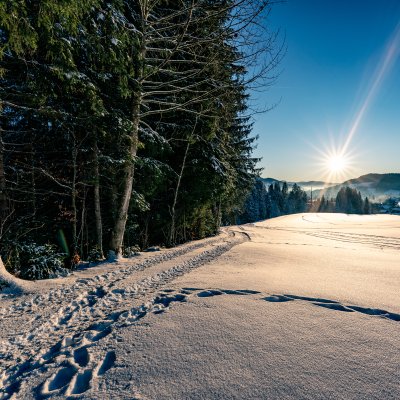 Der Klimapfad führt auch im Winter von Haubers Wellnesshotel zum Schwalbennest oberhalb von Oberstaufen.