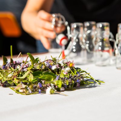 Nach der Kräuterwanderung im Allgäu bereiten Gäste ihr eigenes Kräutertonikum in Flaschen zu.