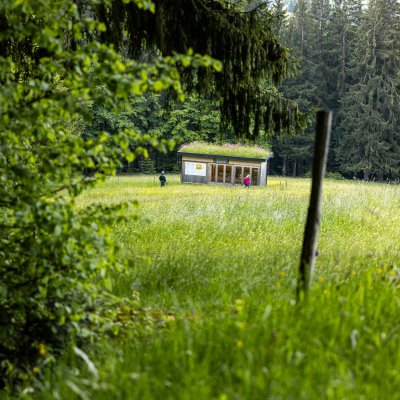 Zwei Gäste spazieren am Bienenhaus auf dem Gelände des Allgäuer Hotels vorbei, das in einer weiten Wildblumenwiese steht.