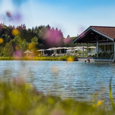 Im Sommer blühen Wildblumen am Ufer von Haubers Natursee vor dem Wellnessbereich des Wellnesshotels im Allgäu.