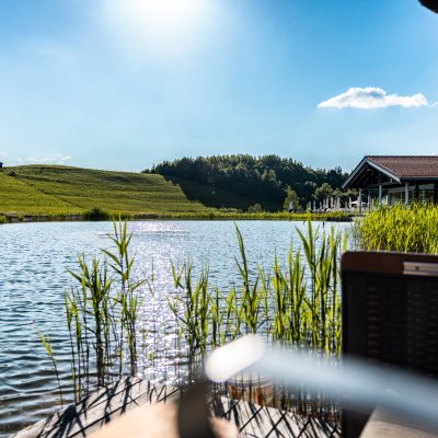 Die Sonne scheint auf Haubers Natursee, der zwischen grünem Schilf und unter blauem Himmel liegt.