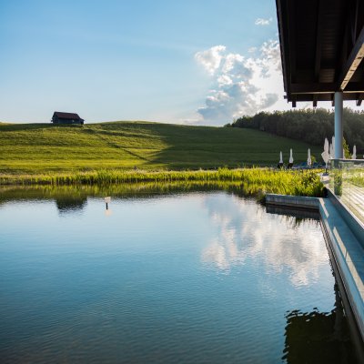 Auf die Liegeterrasse mit Blick auf Haubers Natursee gelangen die Gäste direkt aus dem Wellnessbereich des Wellnesshotels.