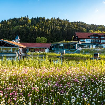 Im Sommer ist das Haubers Wellnesshotel im Allgäu umgeben von blühenden Wiesen, die den Natursee einrahmen.