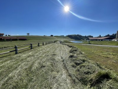 Eine weitläufige Wiese wird gemäht, während die Sonne am blauen Himmel scheint. Im Hintergrund befinden sich sanfte Hügel.