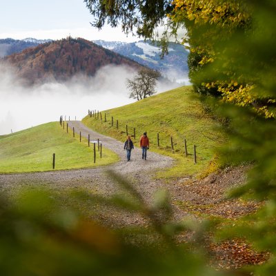 Beim Herbstspaziergang erleben Gäste die Natur des Allgäus. Ein Paar spaziert hinauf zu Haubers Schwalbennest während im Tal von Oberstaufen der Nebel aufsteigt.