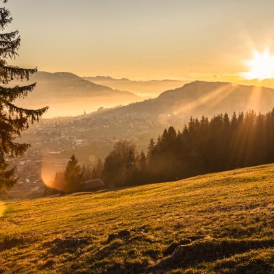Die untergehende Sonne taucht die Wiesen oberhalb von Oberstaufen in herbstliches Licht. Goldener Herbstabend mit Blick auf Oberstaufen.