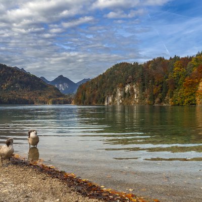 Der Alpsee bei Immenstadt ist ein beliebtes Ziel der Radtouren von Oberstaufen aus.