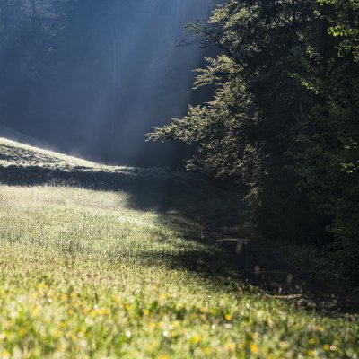 Klimapfad