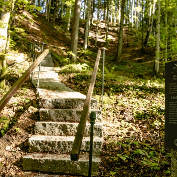 Waldtreppe