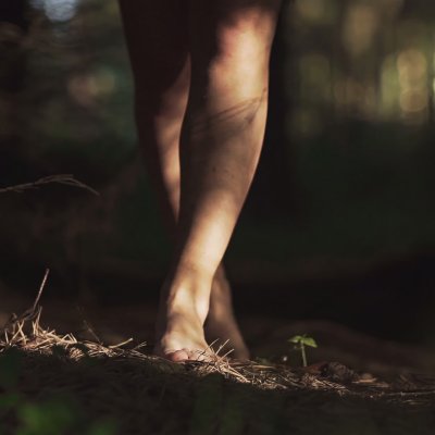Spaziergang-im-Wald-STILL-Versuch1