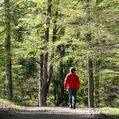 Ein Gast spaziert durch Haubers Wald im Frühling, der das Wellnesshotel in Oberstaufen umgibt.