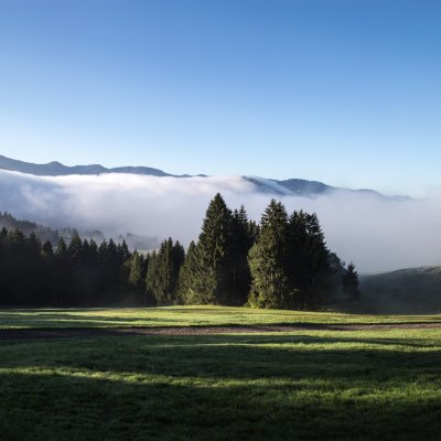 Der Morgennebel verschwindet und die Sonne taucht die Berge oberhalb des Allgäuer Golfhotels in helles Licht.