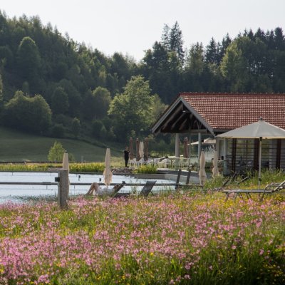 Natursee