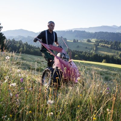 Heuernte 2017-406138 26. Juni 2017 -1