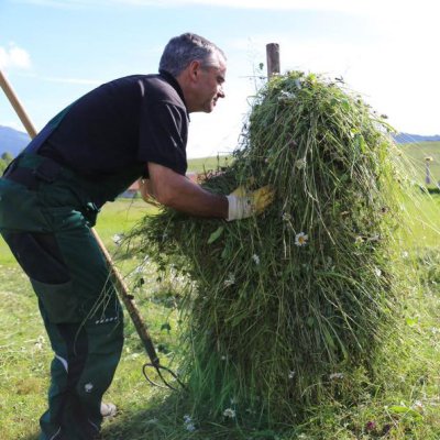 Ein Mitarbeiter schichtet Heu zum Trocknen auf Huinzen.
