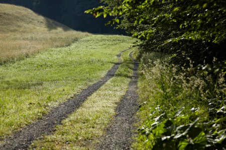 Am Klimapfad