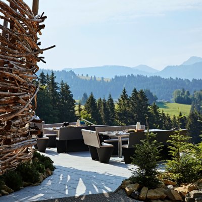 Schwalbennest im Frühjahr