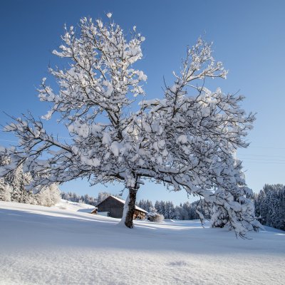 Winter am Klimapfad