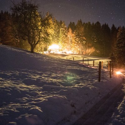 Silvester am neuen Schwalbennest