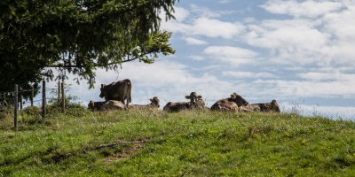 Wanderung zur Jugethöhe