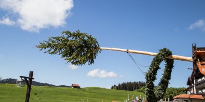 Maibaumfest