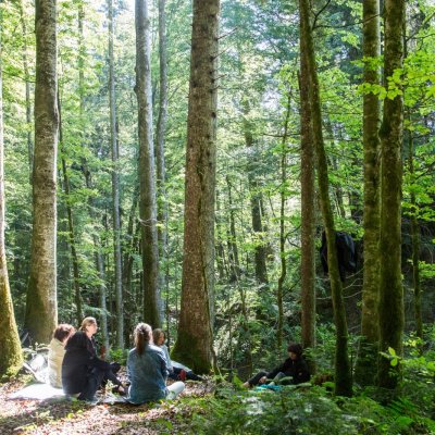 Eine Gruppe Gäste meditiert im Juni 2019 beim Waldbaden in Haubers Wald nahe Oberstaufen, Allgäu.